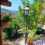 Refugio Com Tanque Privado E Azeite Artesanal 木屋 *