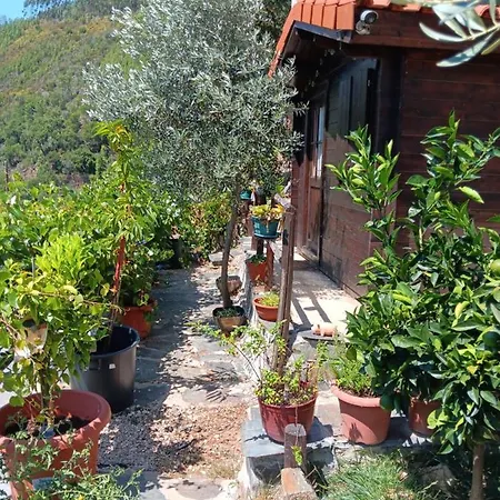 シャレー Ceira - Refugio Romantico Com Vista Serrana