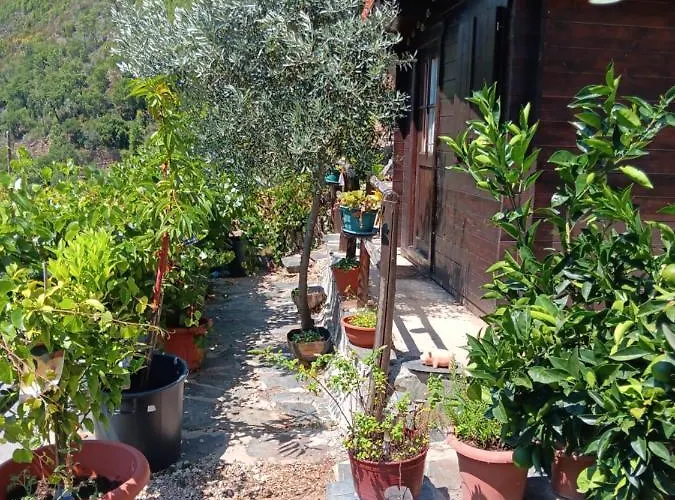 בקתה Refugio Com Tanque Privado E Azeite Artesanal