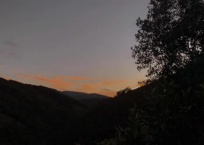 Refugio Com Tanque Privado E Azeite Artesanal בקתה Góis